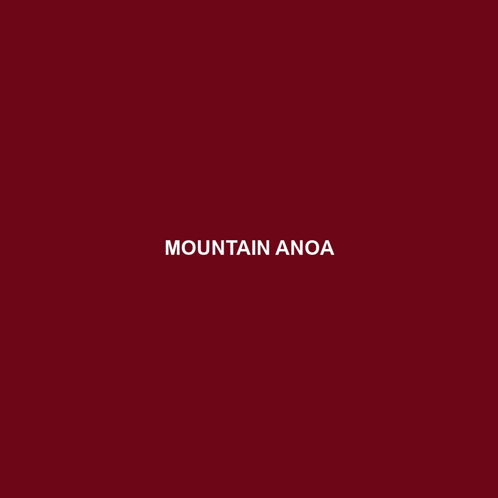 Mountain Anoa