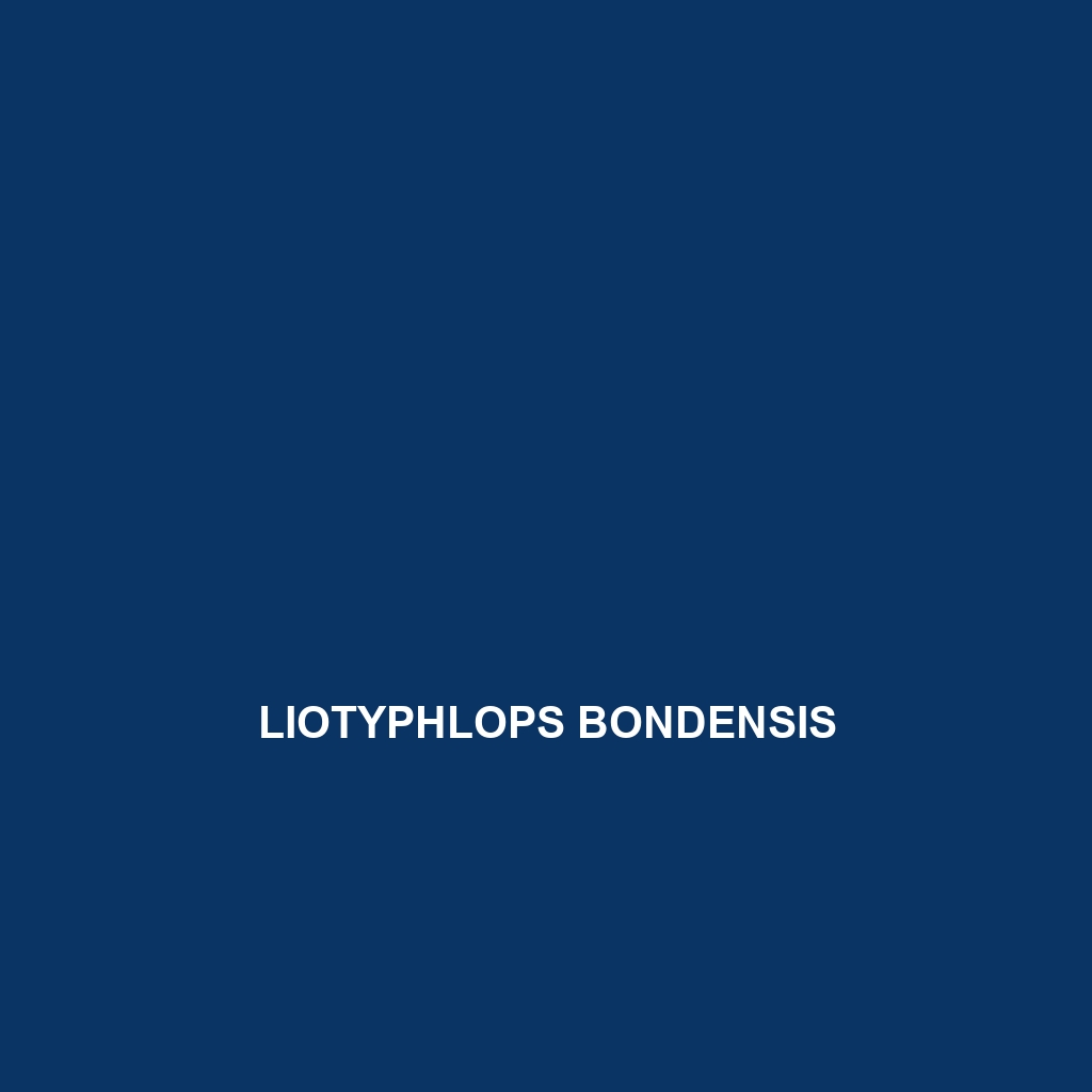 Liotyphlops bondensis