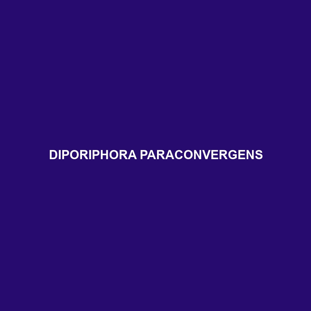 Diporiphora paraconvergens