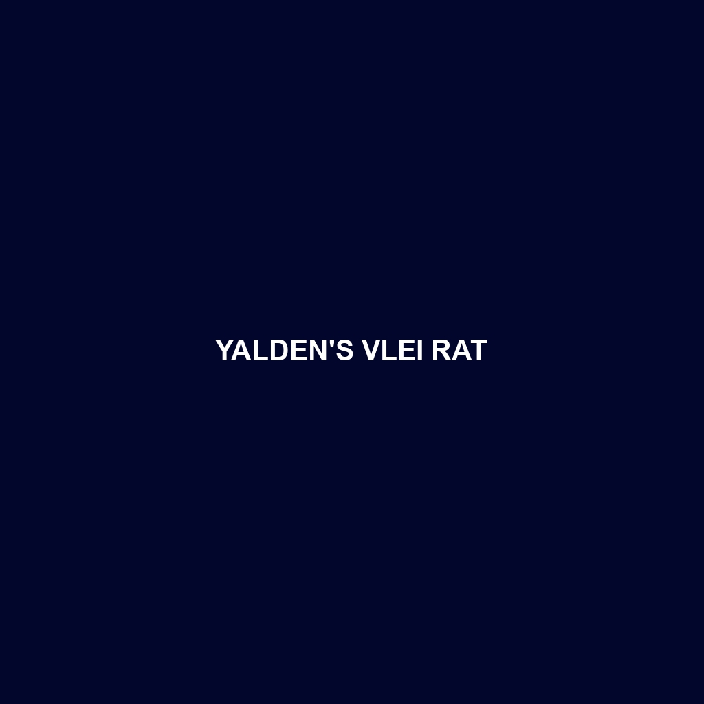 Yalden's Vlei Rat