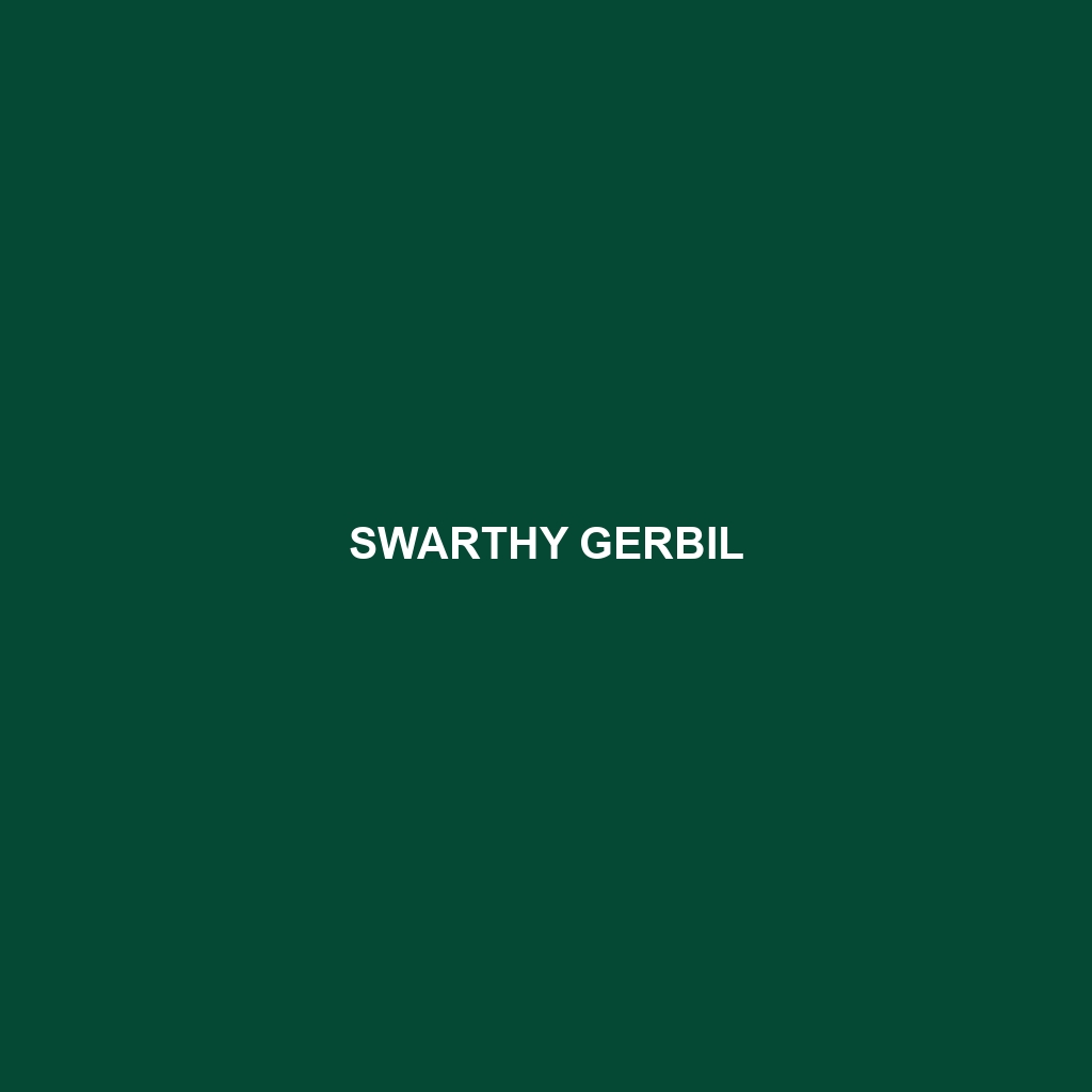 Swarthy Gerbil