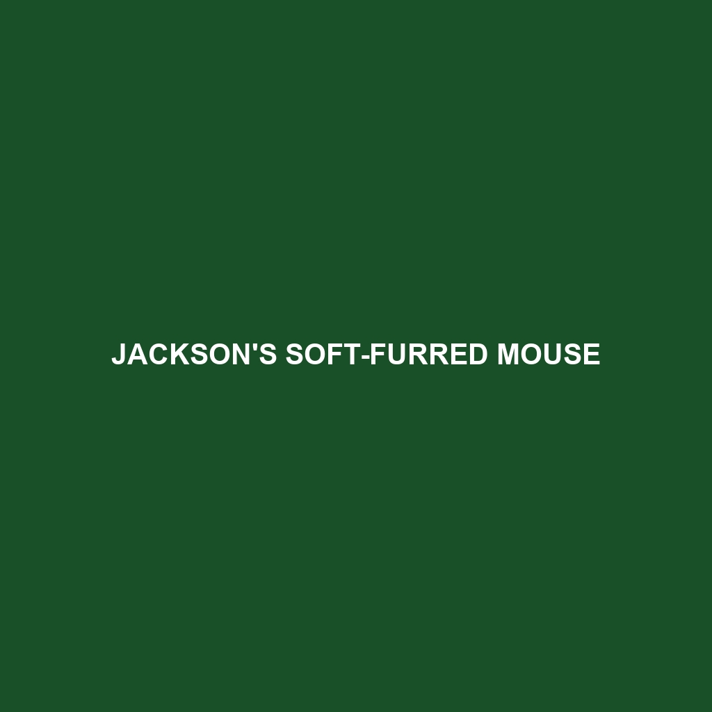 Jackson's Soft-furred Mouse