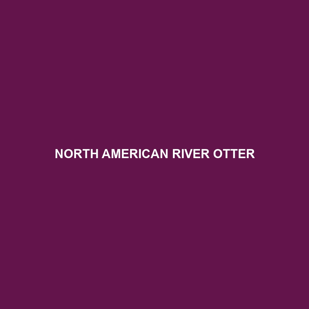 North American River Otter