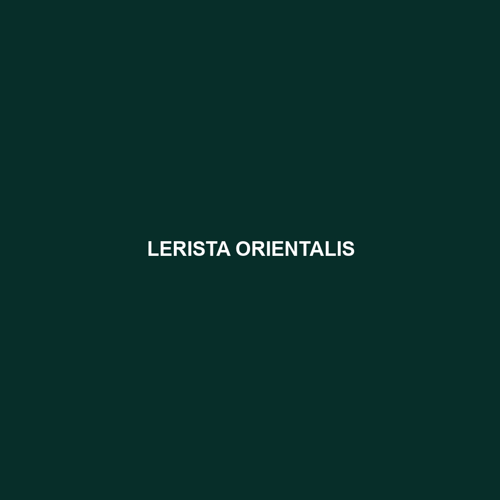 Lerista orientalis