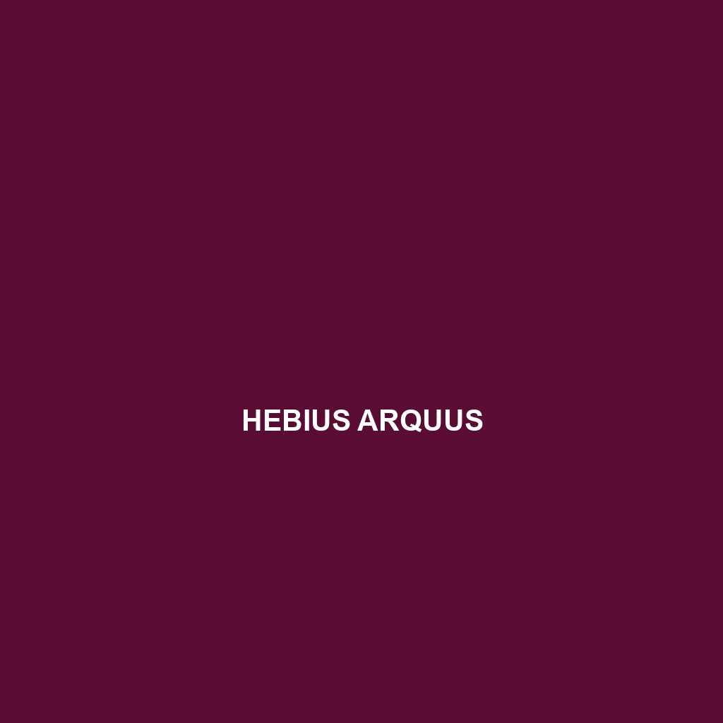 Hebius arquus