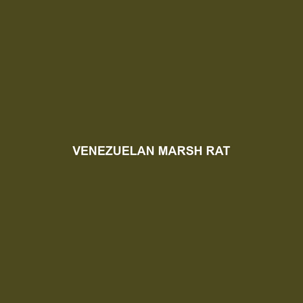 Bolivian Rice Rat