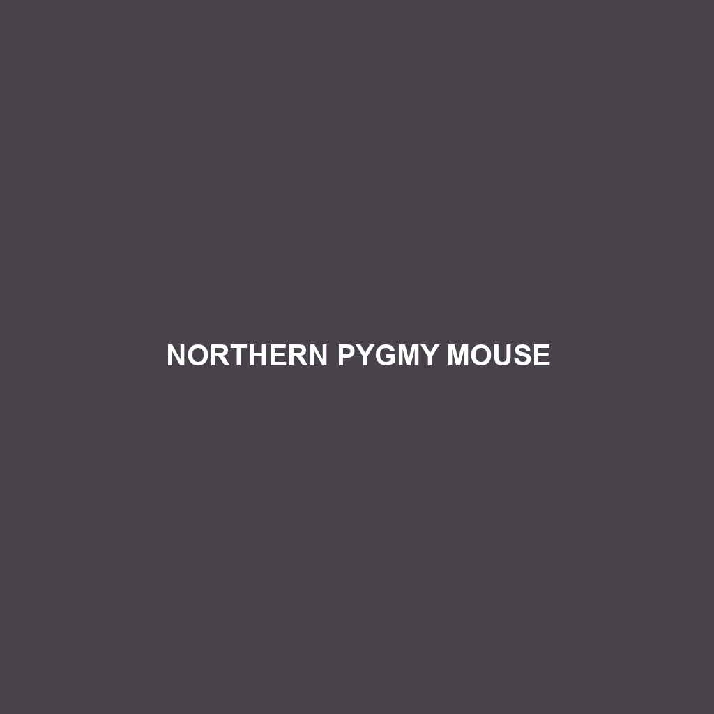 Northern Pygmy Mouse