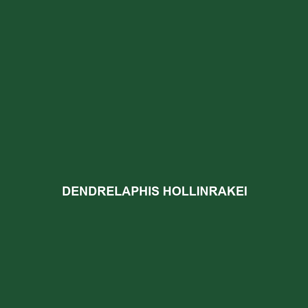 Dendrelaphis hollinrakei