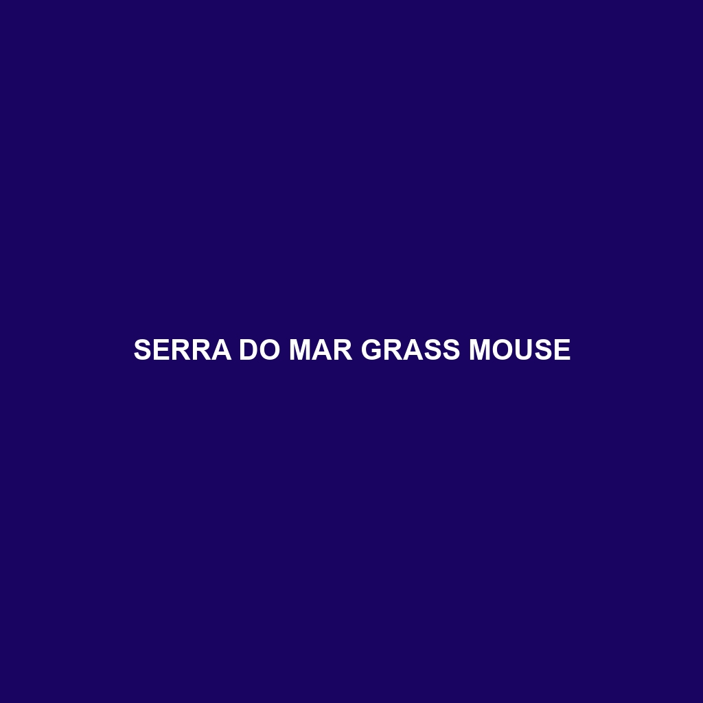 Serra do Mar Grass Mouse