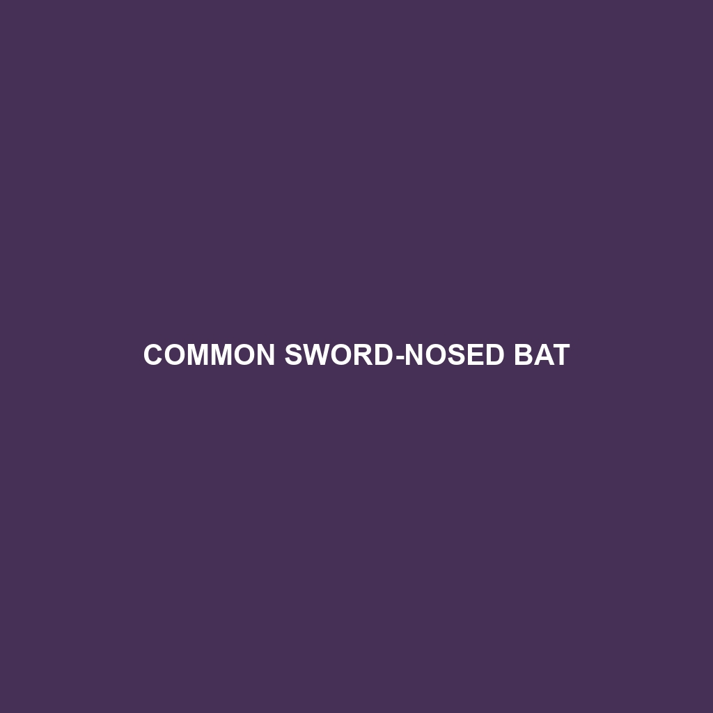 Common Sword-nosed Bat