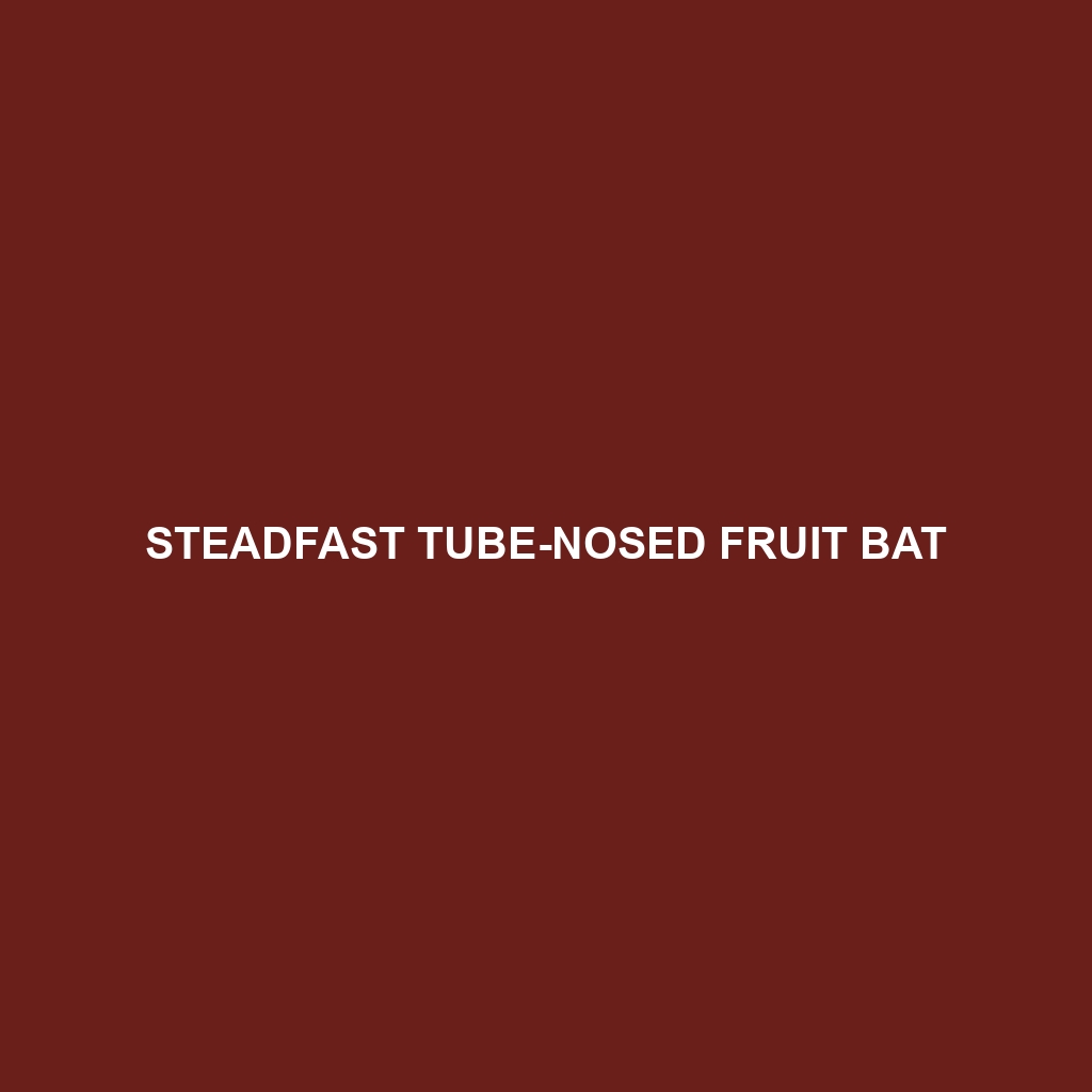 Steadfast Tube-nosed Fruit Bat