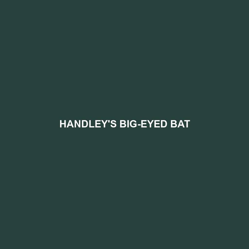 Handley's Big-eyed Bat