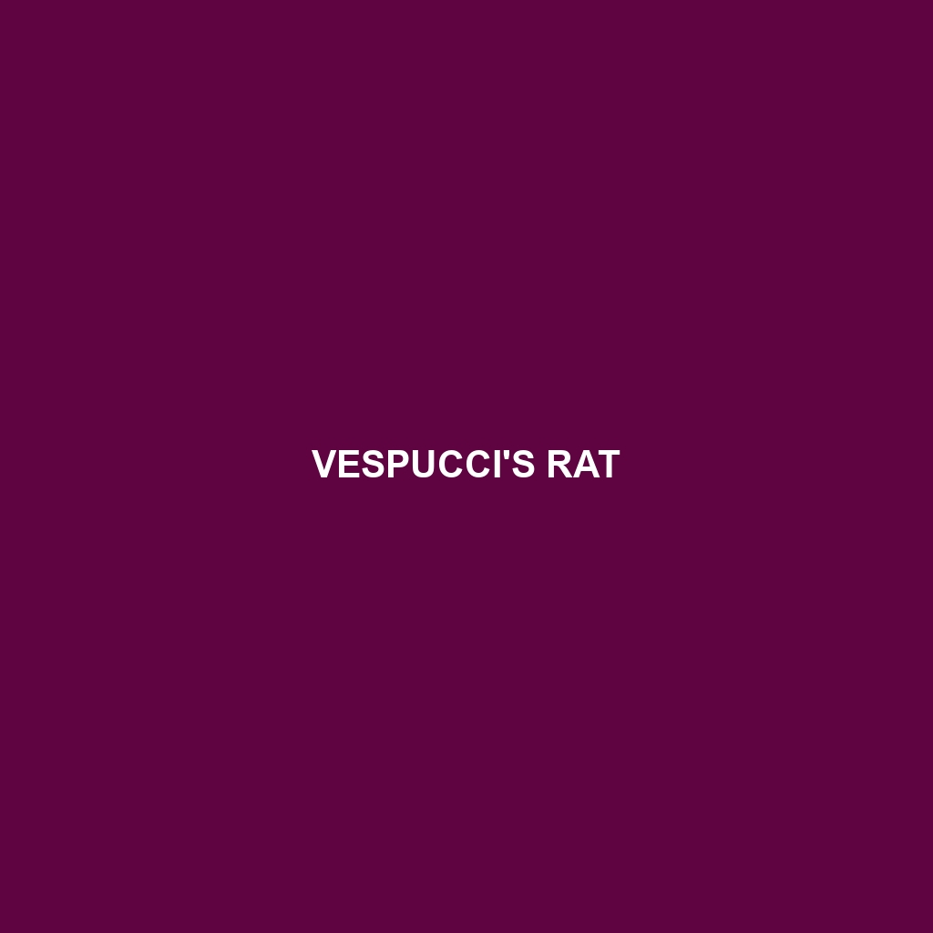 Vespucci's Rat