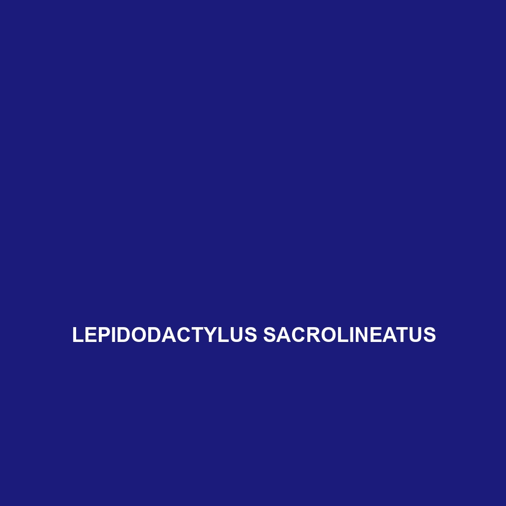 Lepidodactylus sacrolineatus