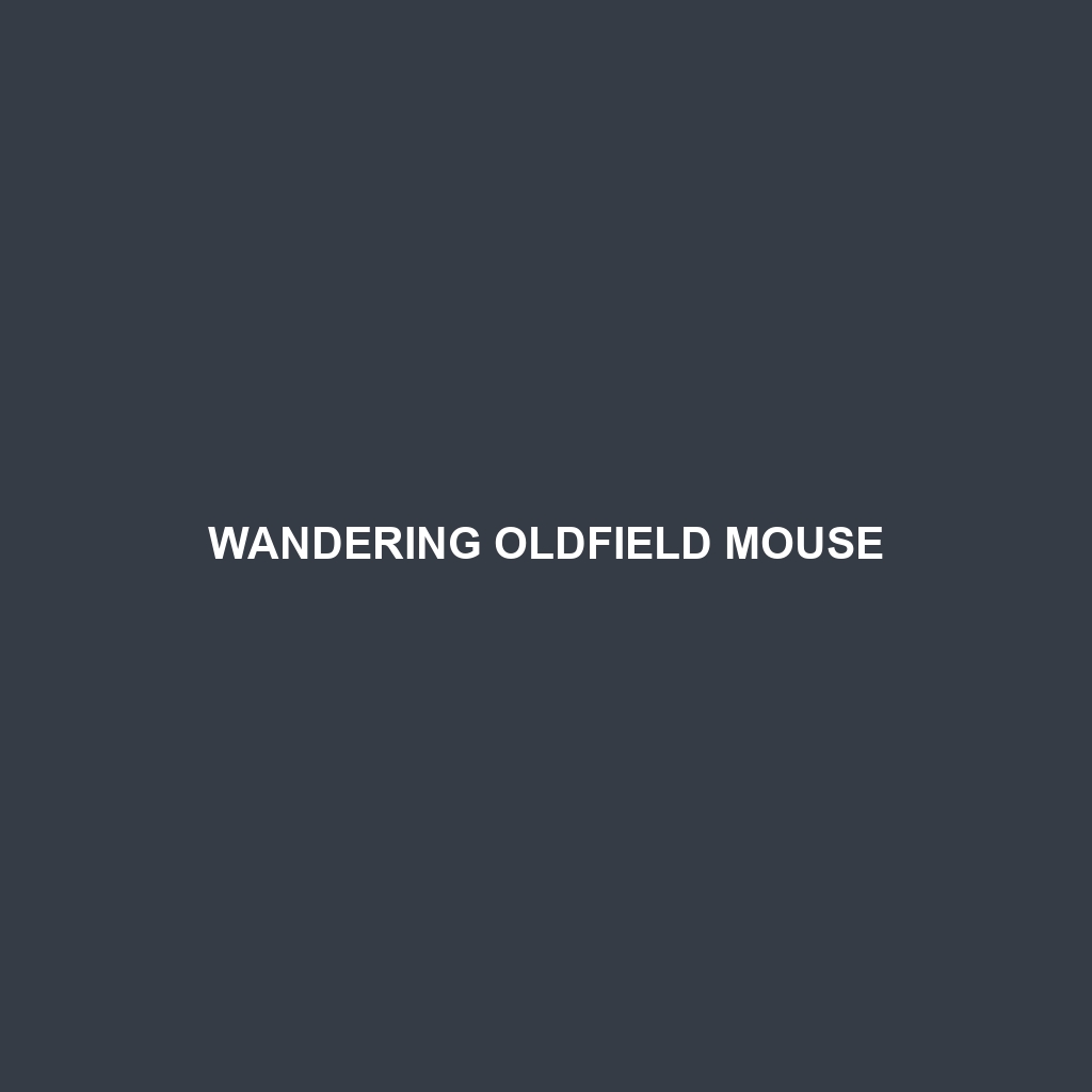 Wandering Oldfield Mouse