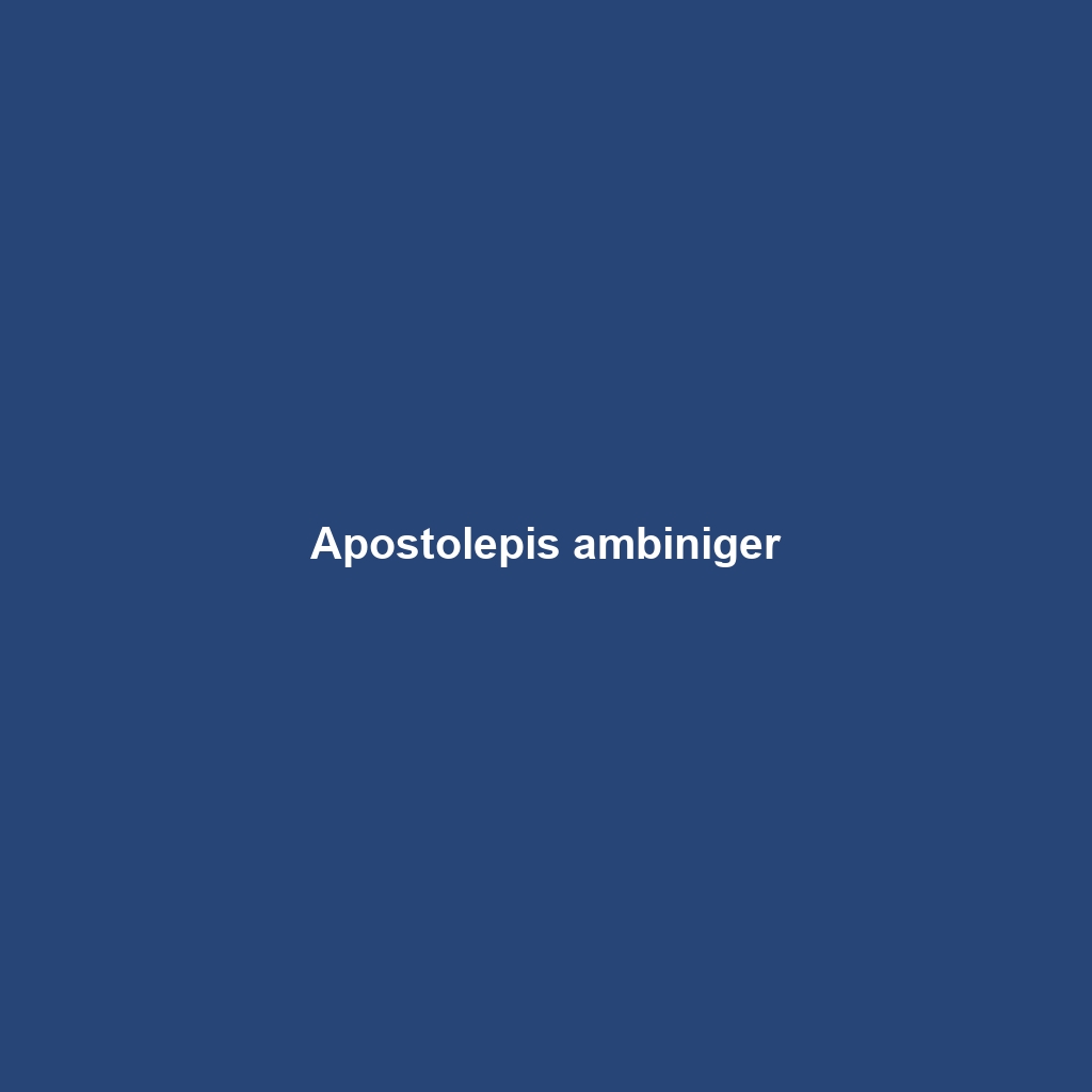 Apostolepis ambiniger