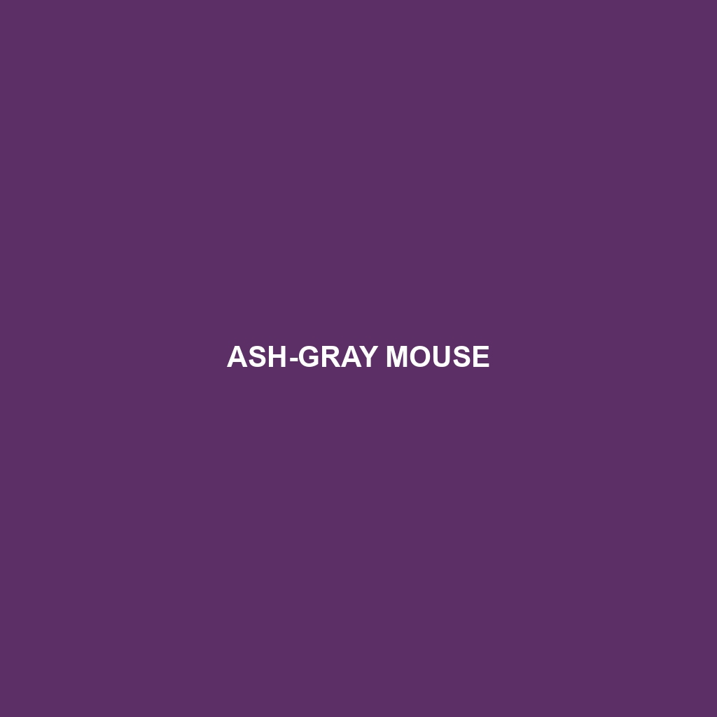 Ash-gray Mouse