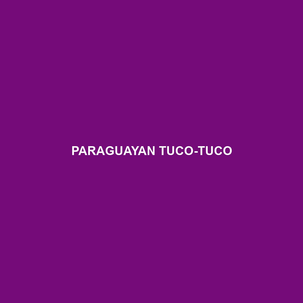 Paraguayan Tuco-tuco