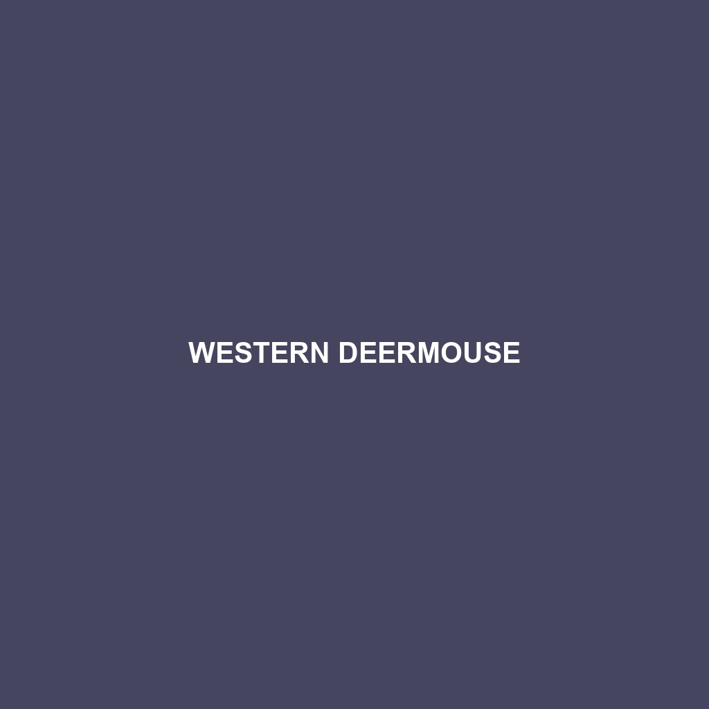 Western Deermouse