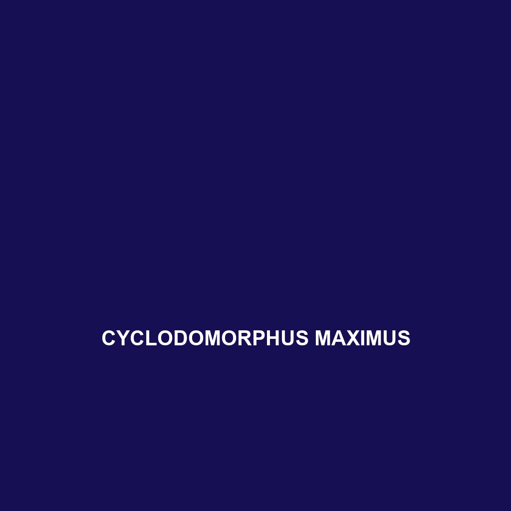 Cyclodomorphus maximus