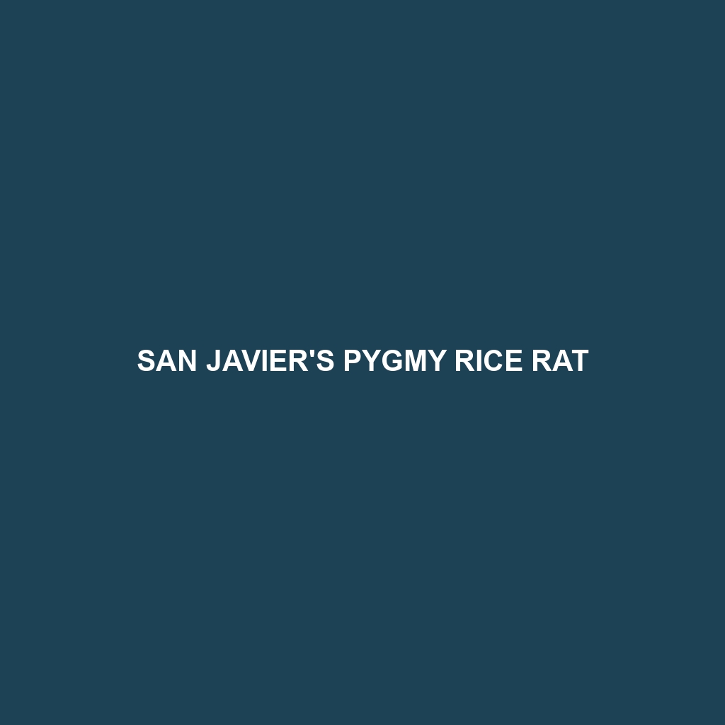 San Javier's Pygmy Rice Rat