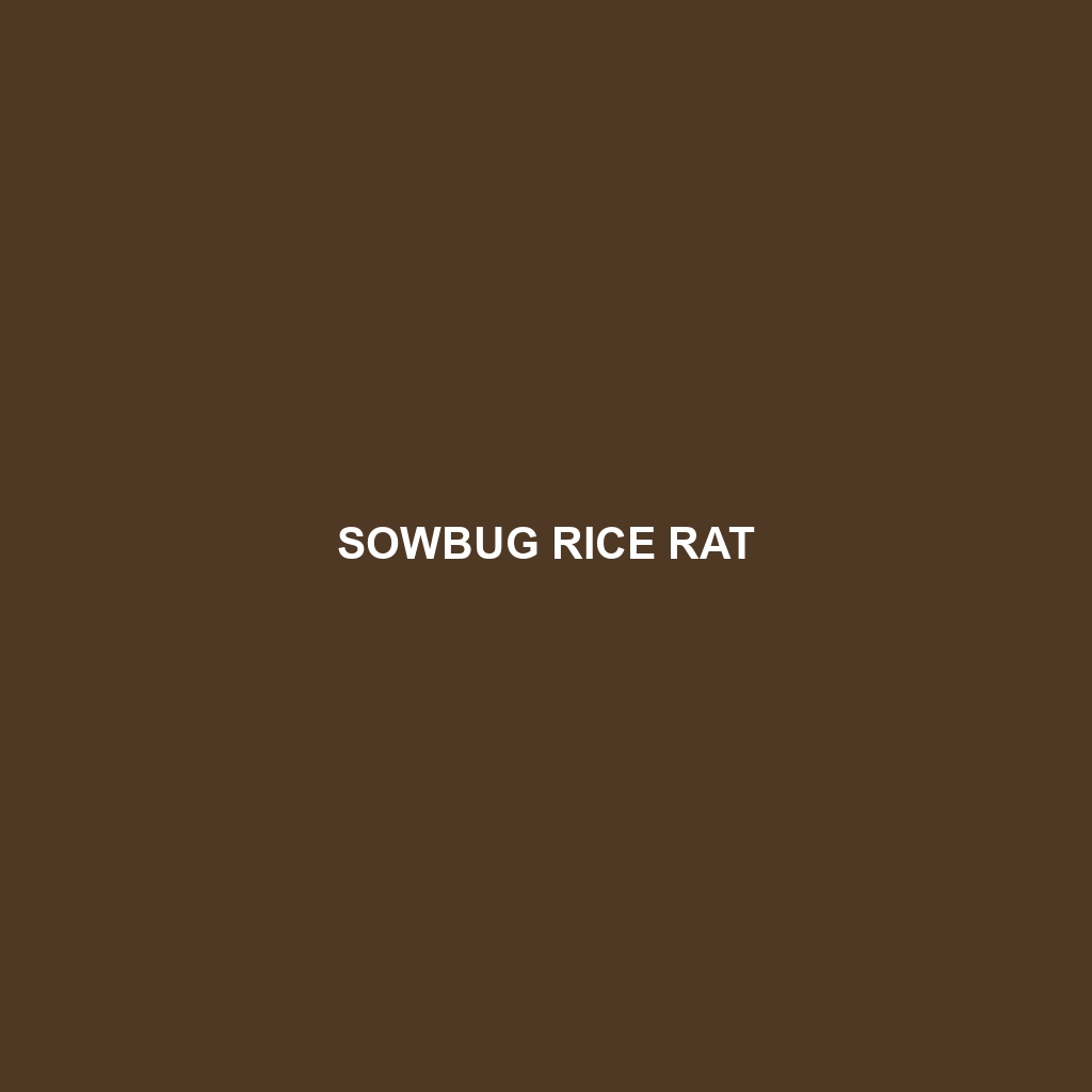 Sowbug Rice Rat