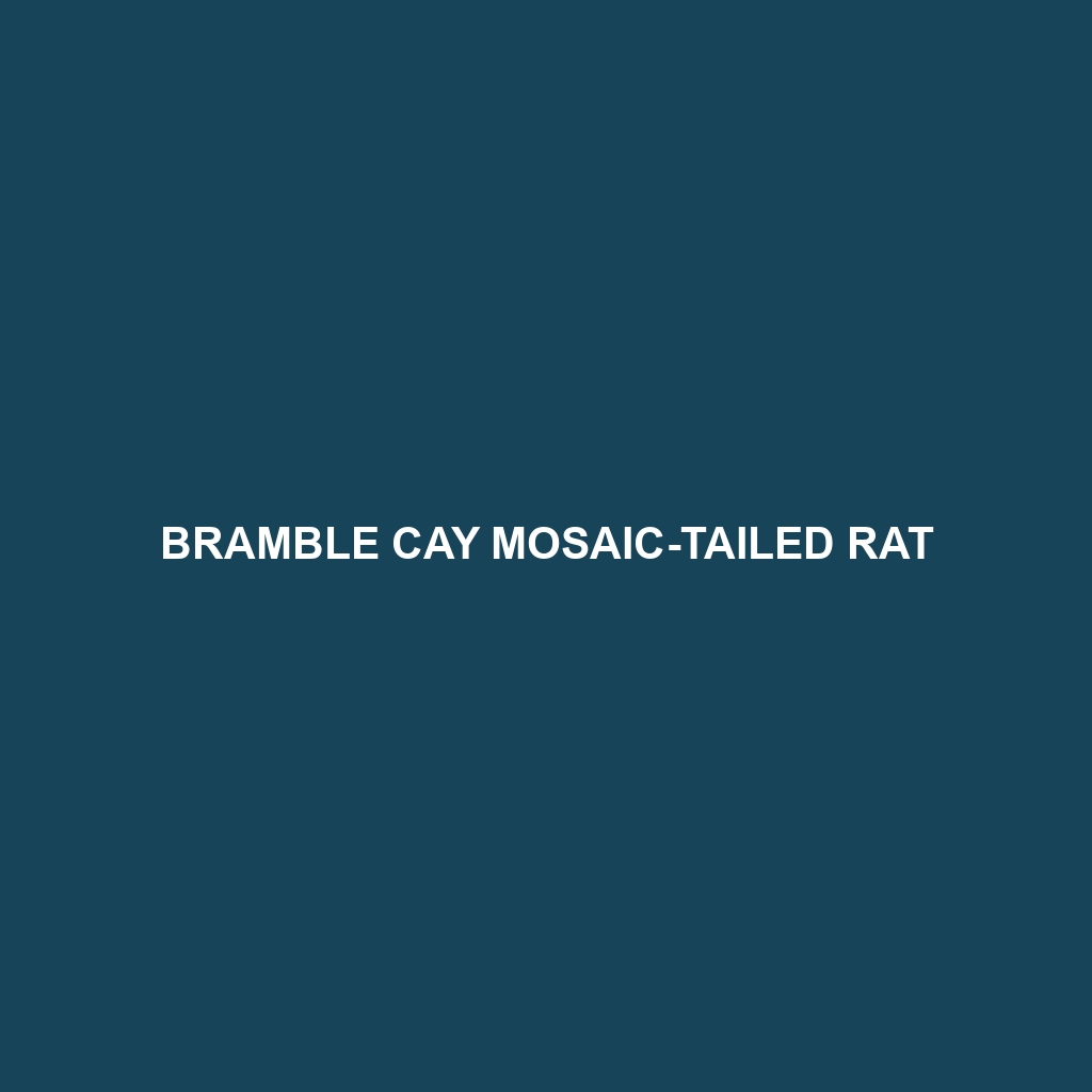 Bramble Cay Mosaic-tailed Rat