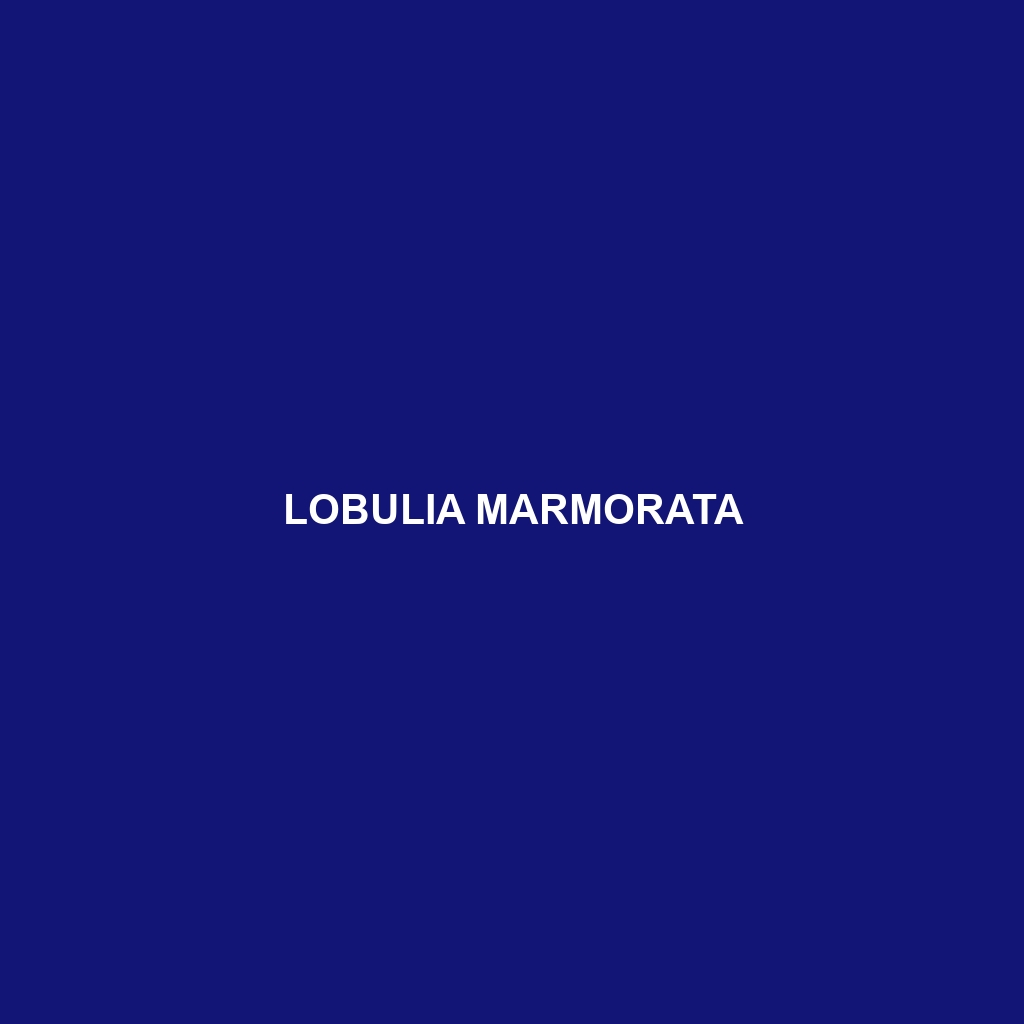 Lobulia marmorata