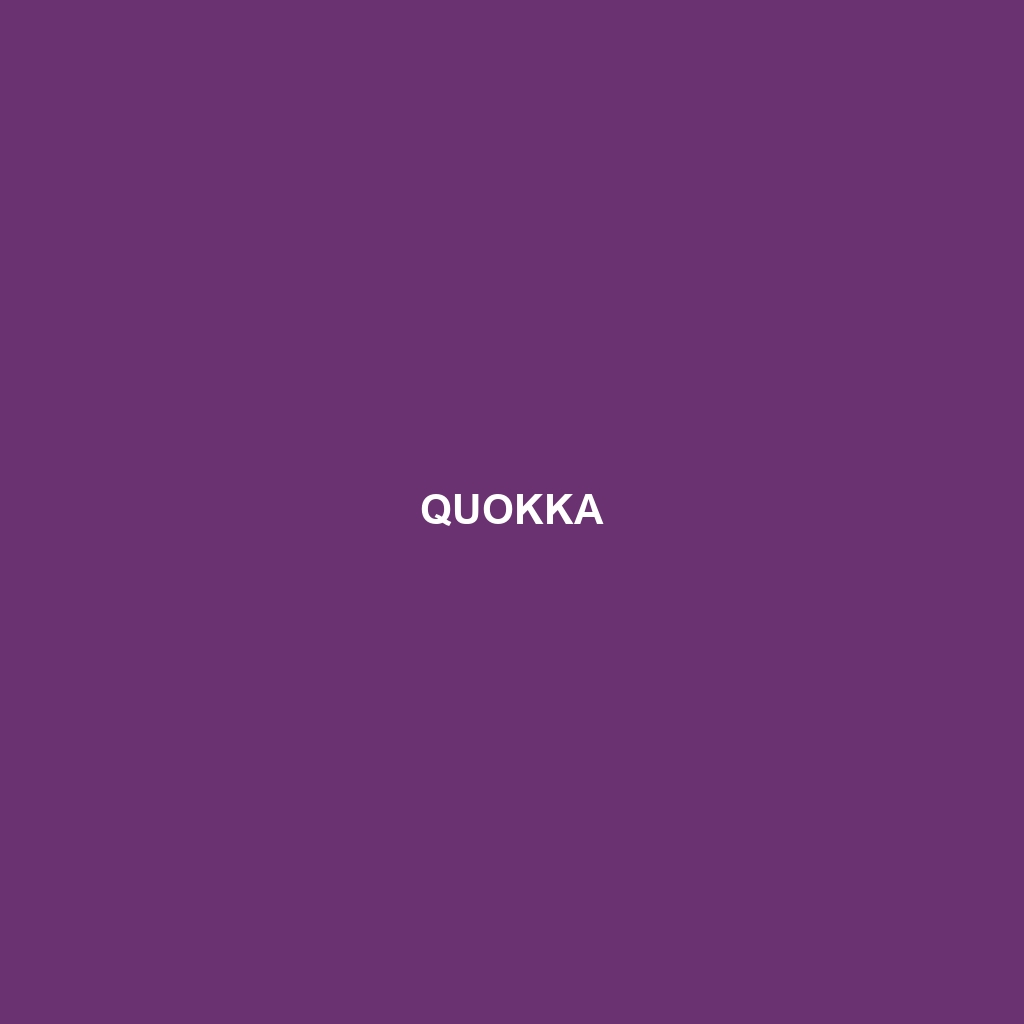 Quokka