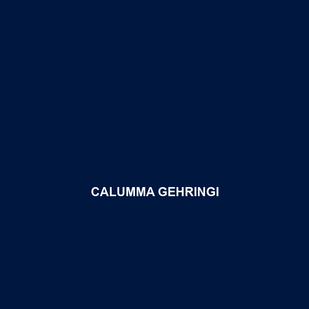 Calumma gehringi