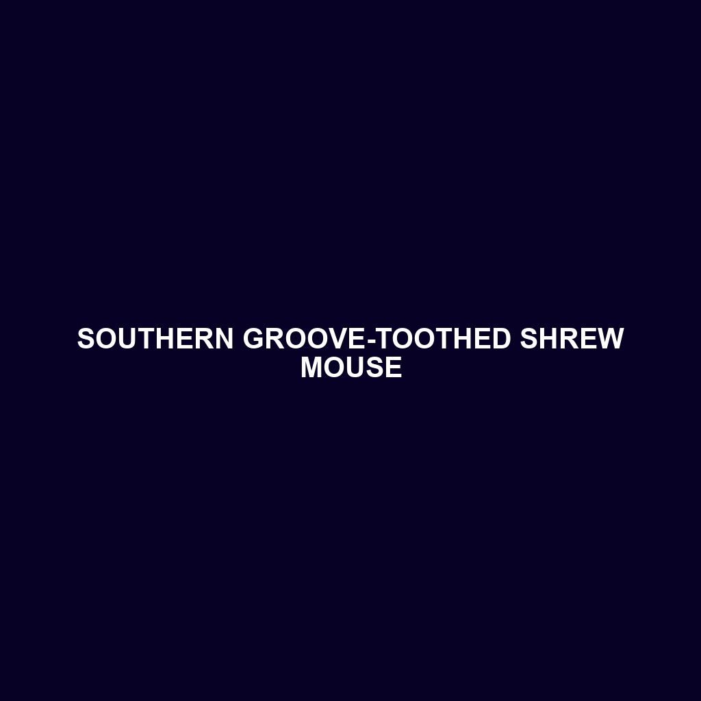 Southern Groove-toothed Shrew Mouse