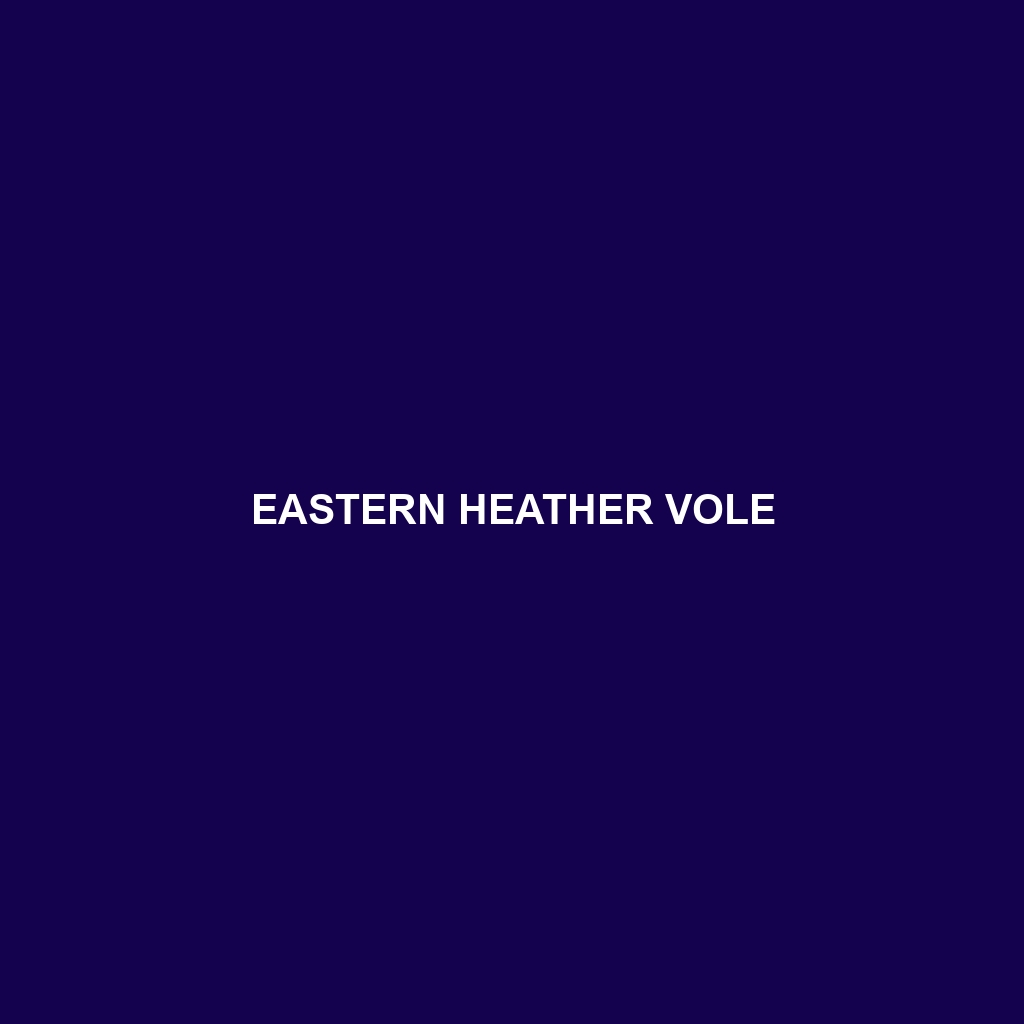 Eastern Heather Vole