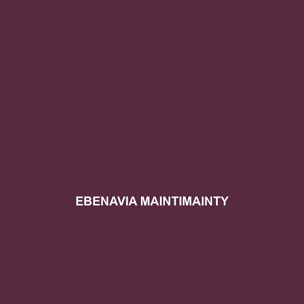 Ebenavia maintimainty