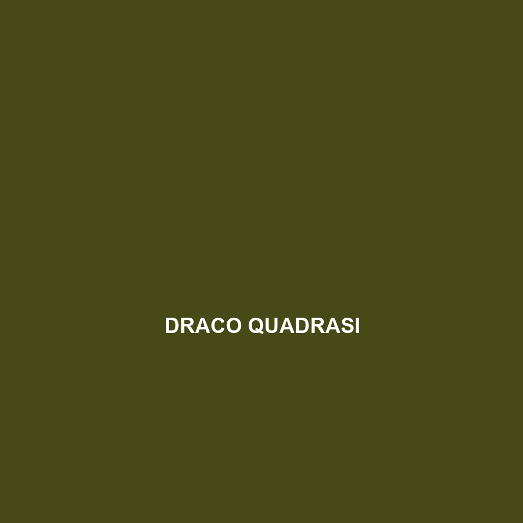 Draco quadrasi