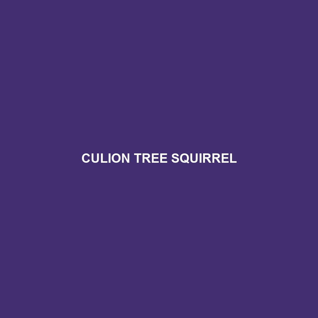 Culion Tree Squirrel