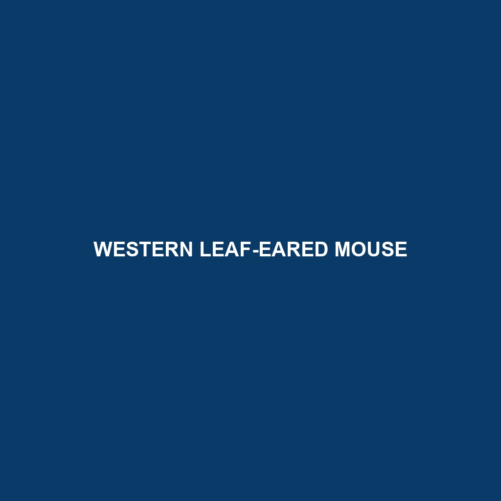 Western Leaf-eared Mouse