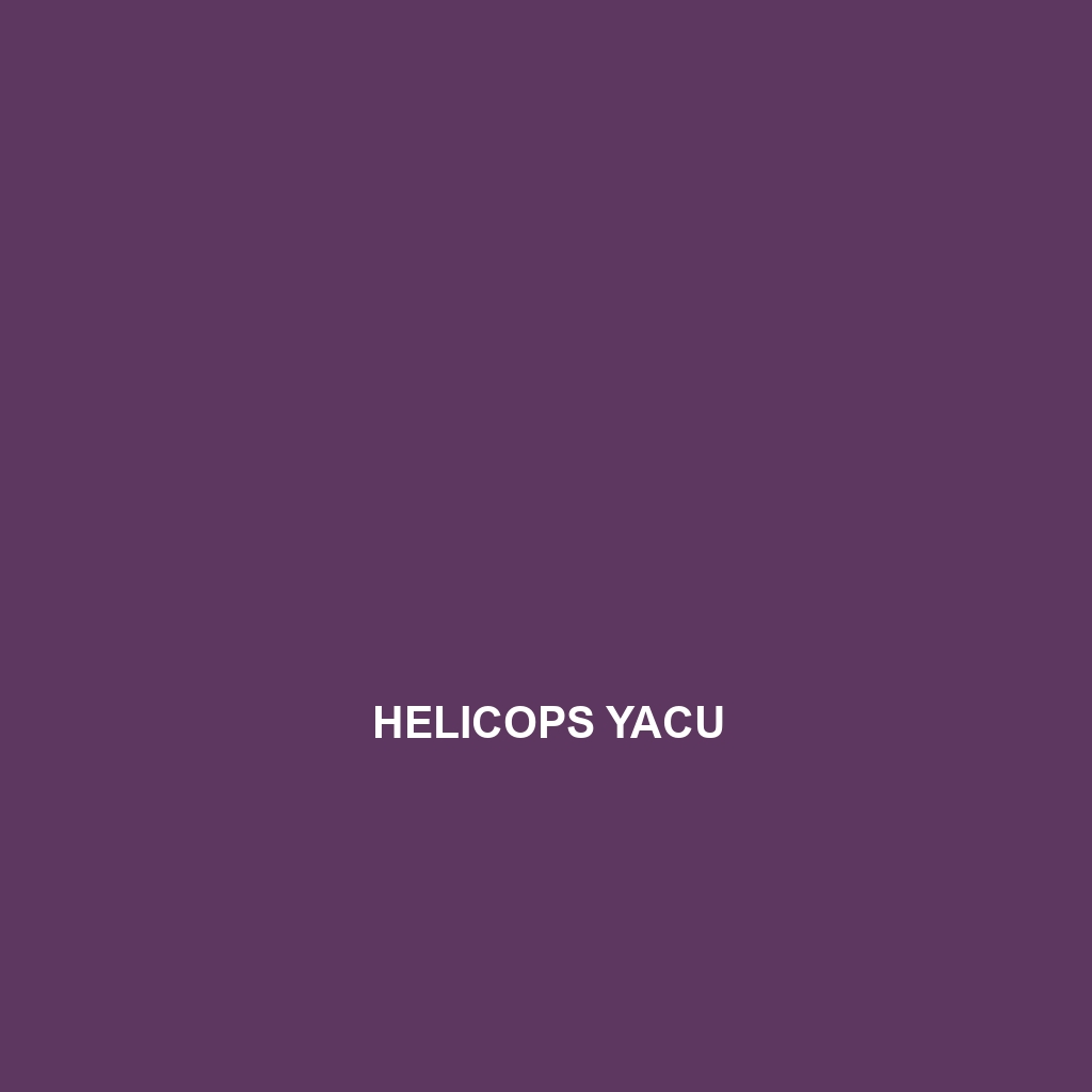 Helicops yacu