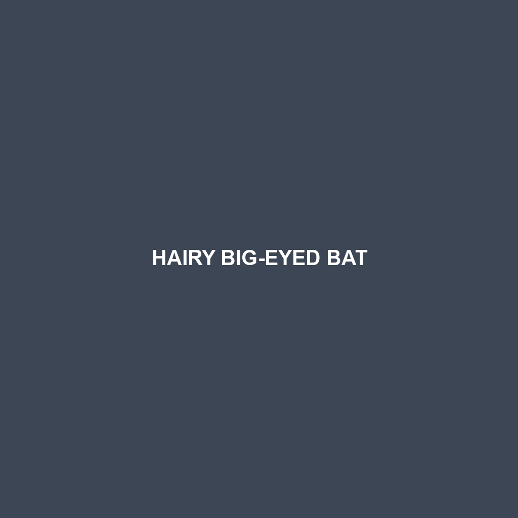 Hairy Big-eyed Bat