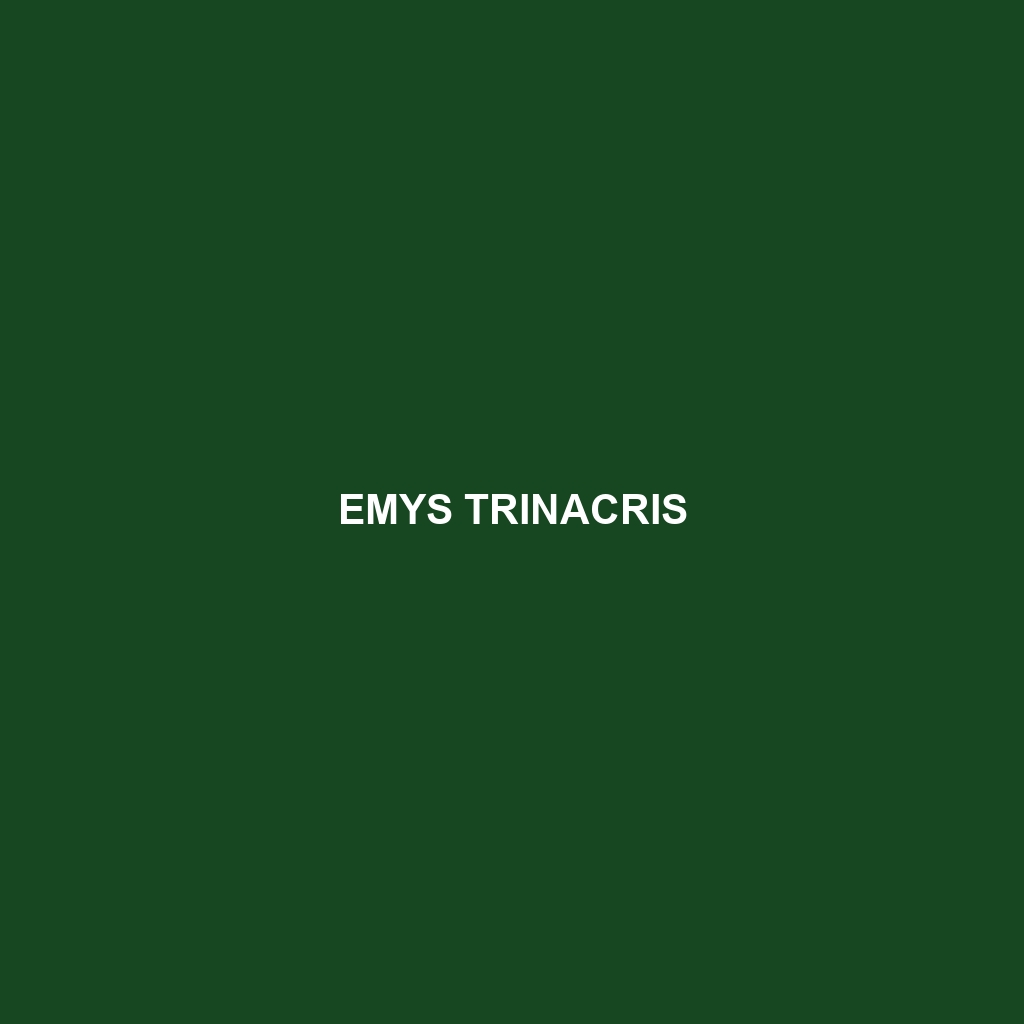 Emys trinacris