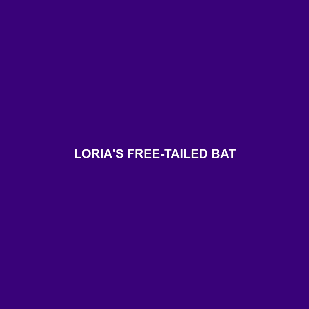 Loria's Free-tailed Bat