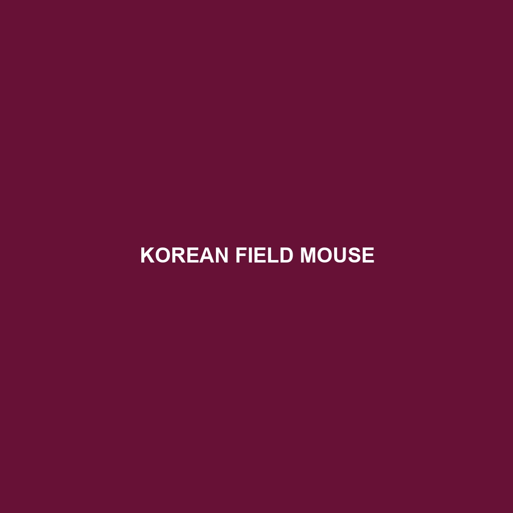 Korean Field Mouse