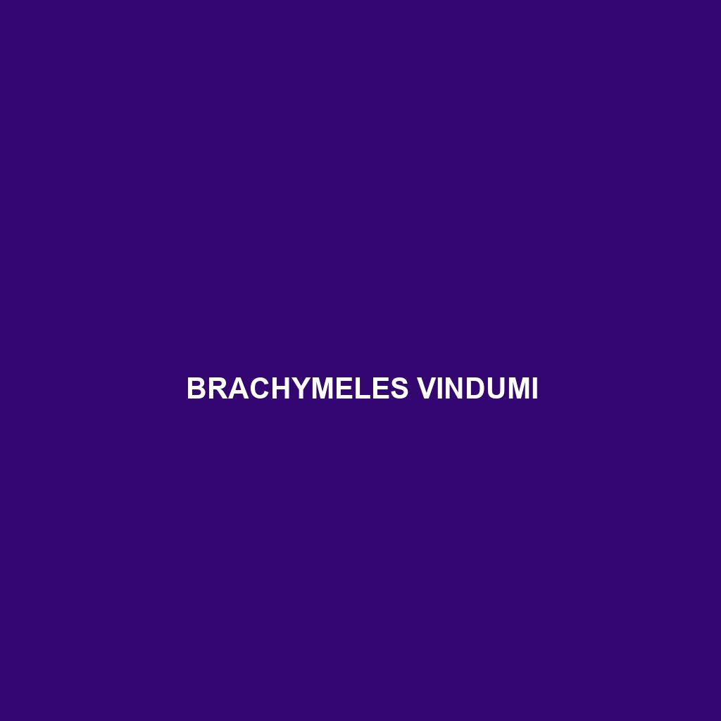 Brachymeles vindumi