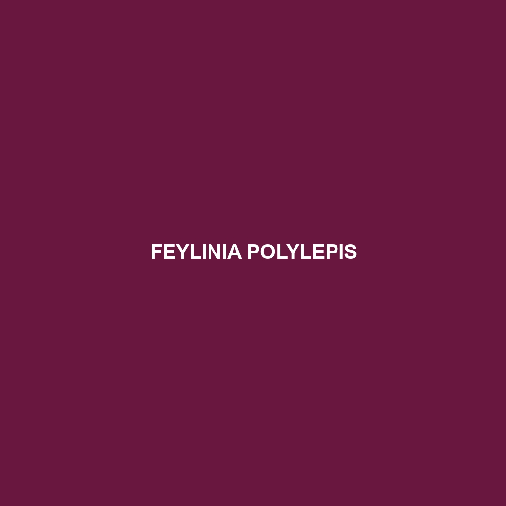 Feylinia polylepis