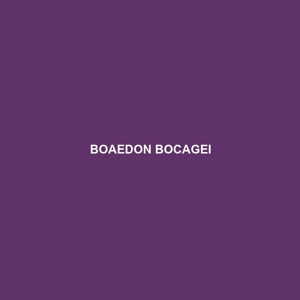 Boaedon bocagei