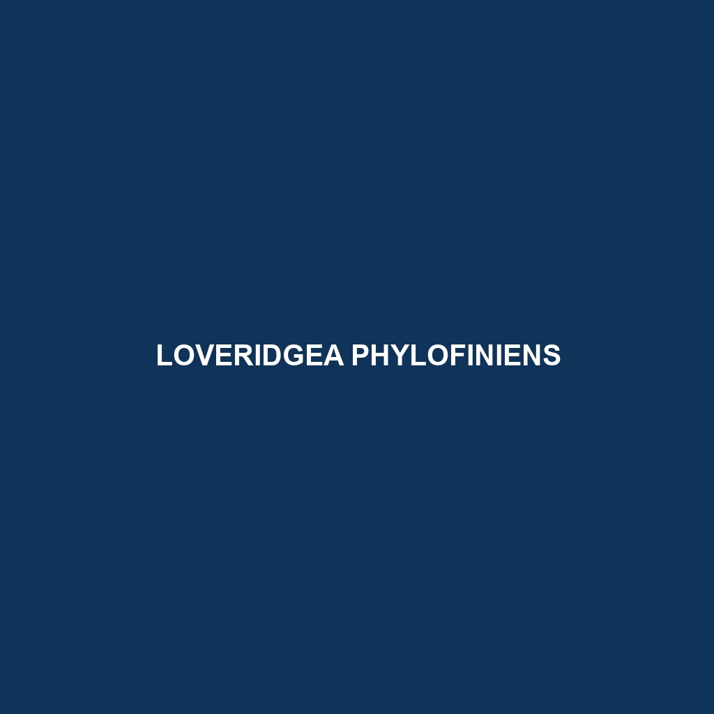 Loveridgea phylofiniens