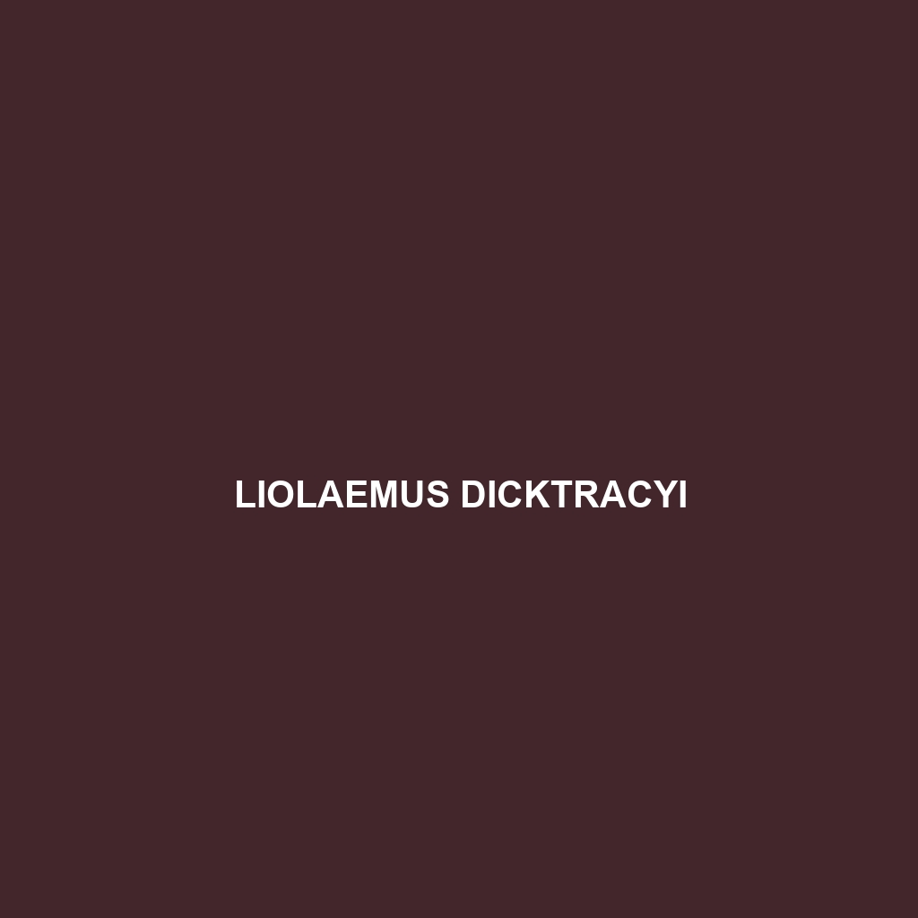 Liolaemus dicktracyi