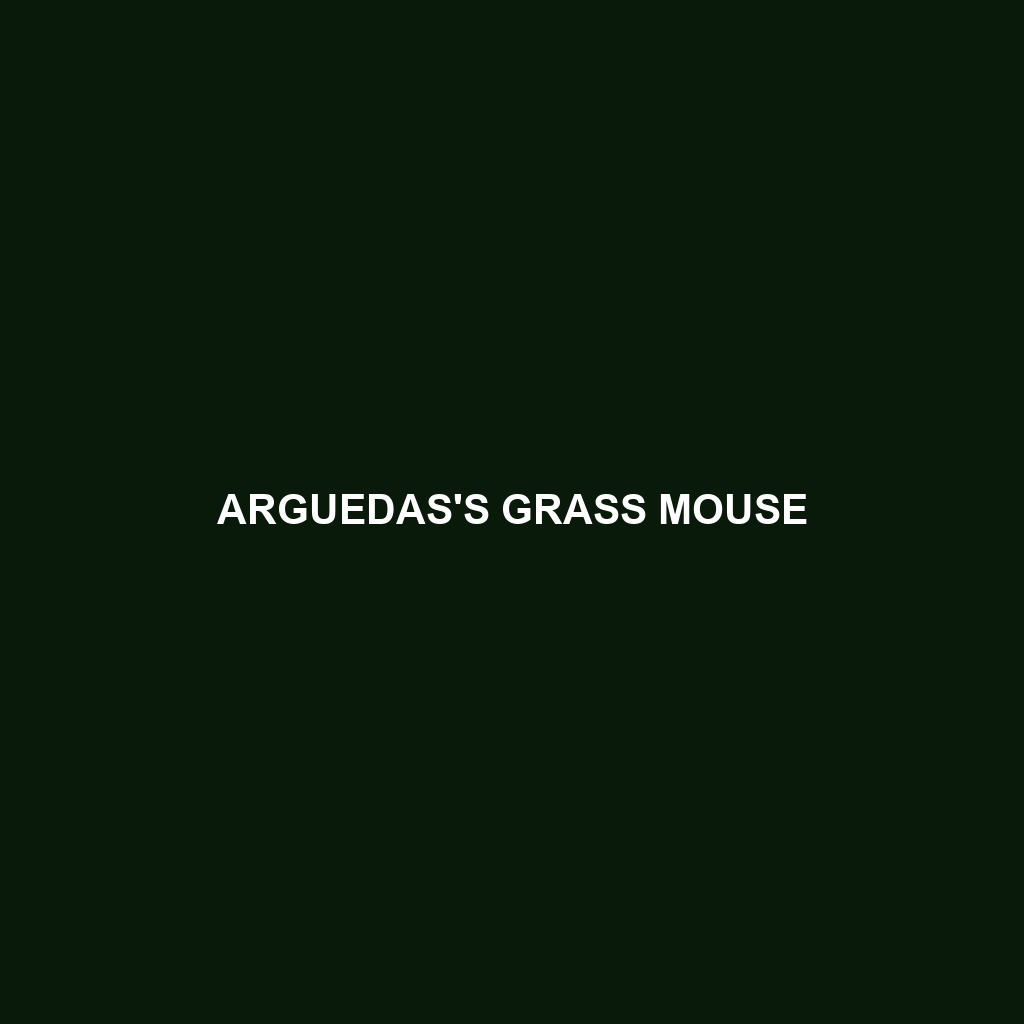 Arguedas's Grass Mouse