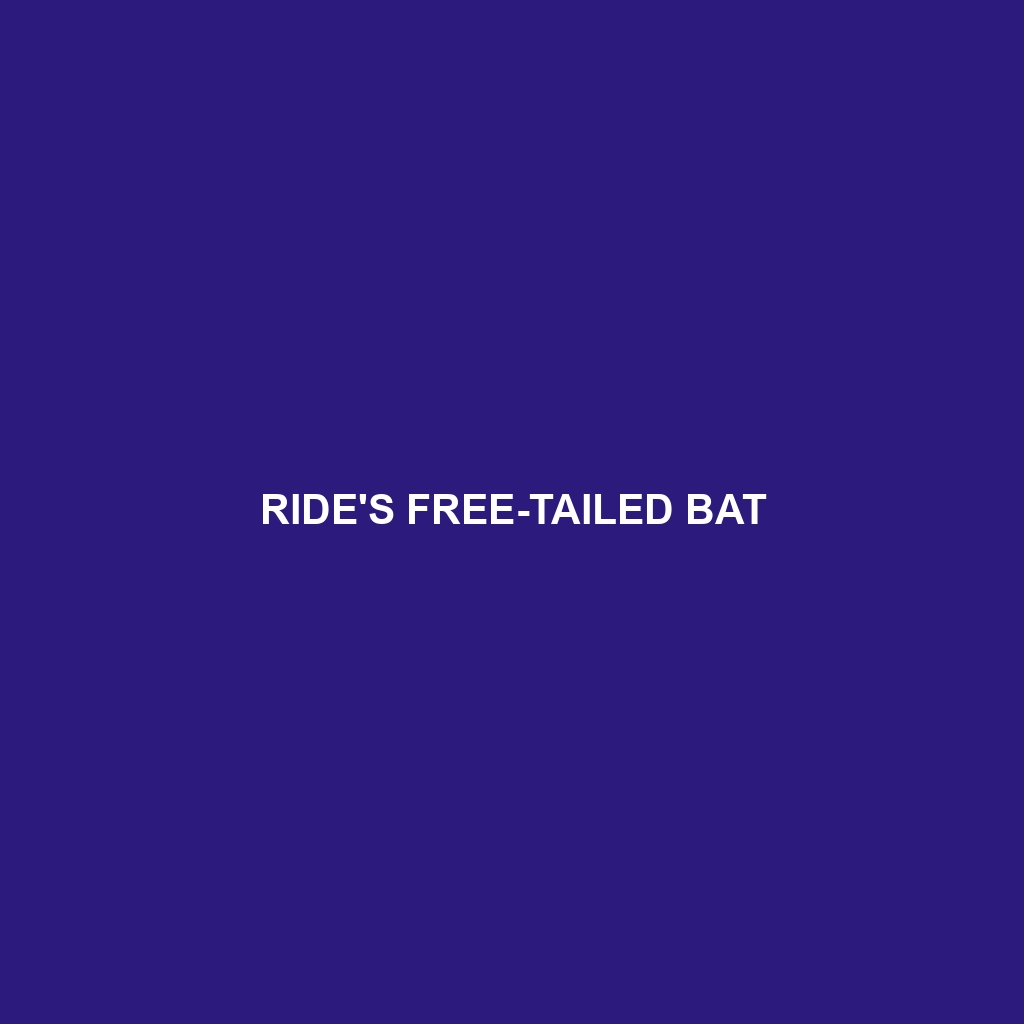 Ride's Free-tailed Bat