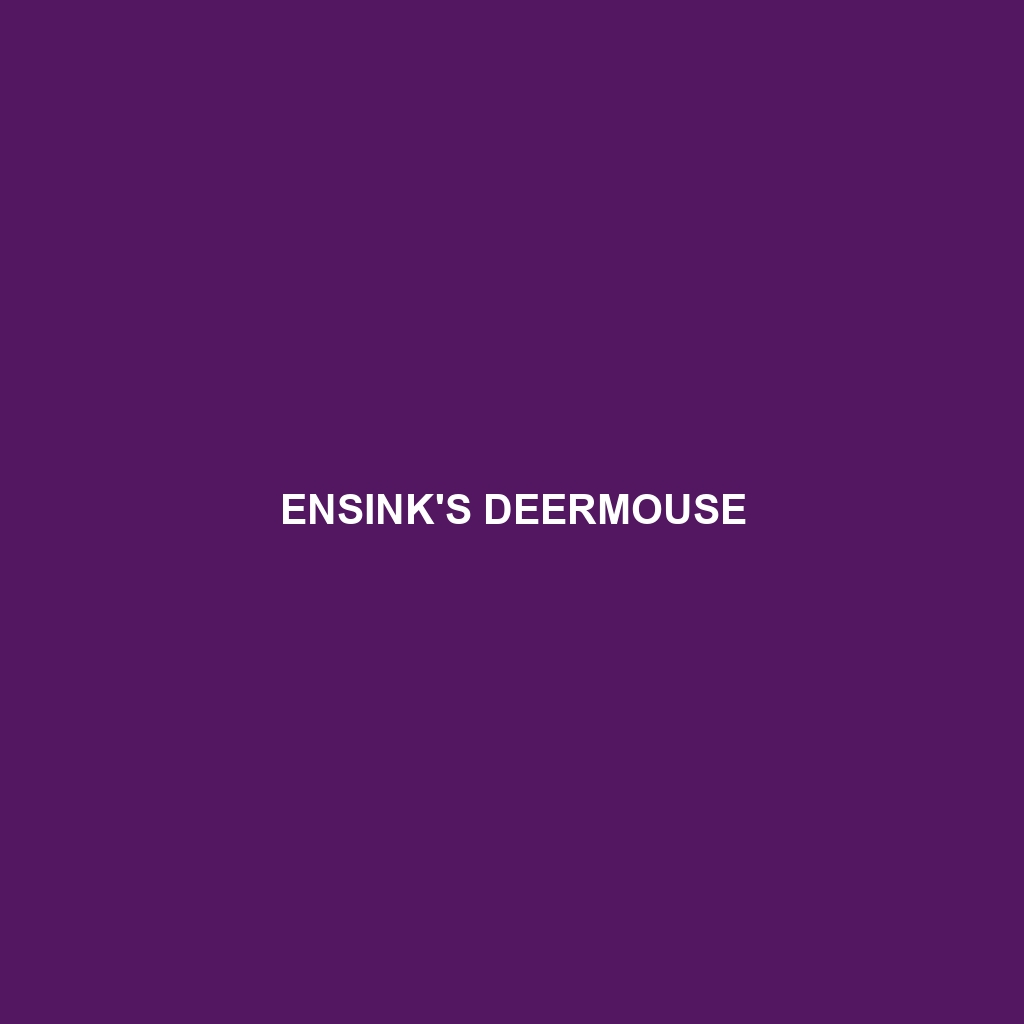 Ensink's Deermouse