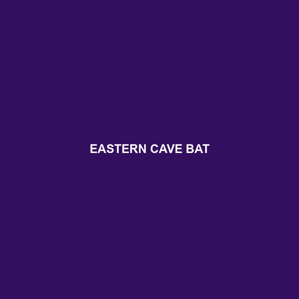 Eastern Cave Bat